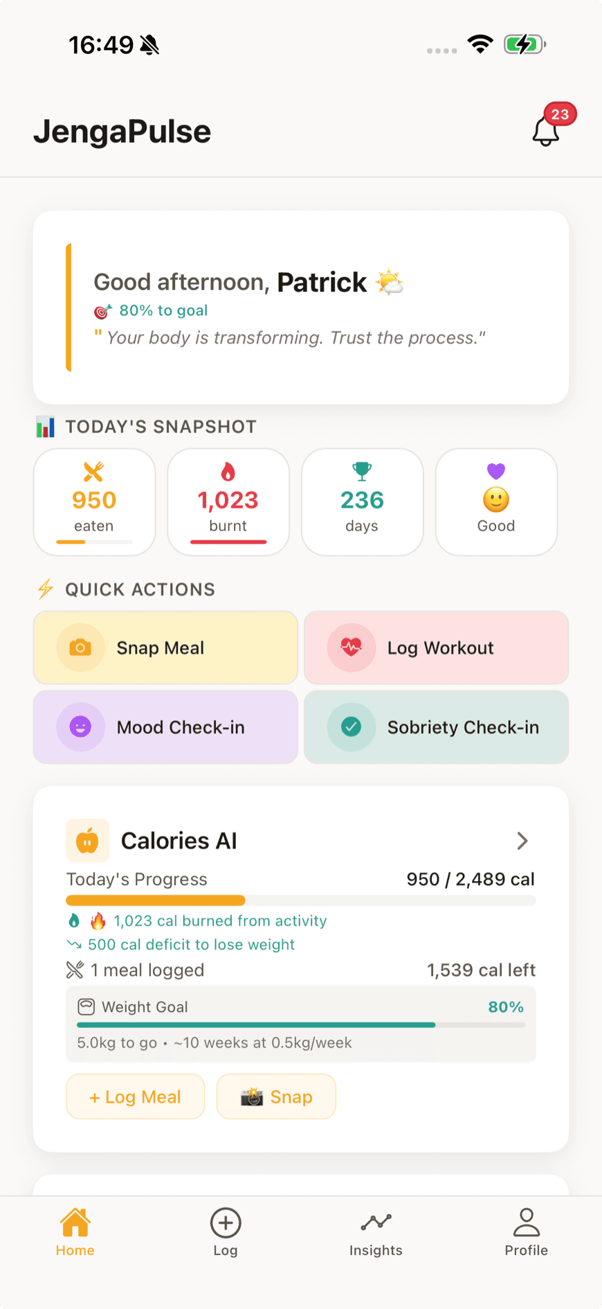 JengaPulse home screen: today's snapshot showing calories eaten and burnt, sobriety days and mood, with quick actions for snapping a meal, logging a workout and checking in.